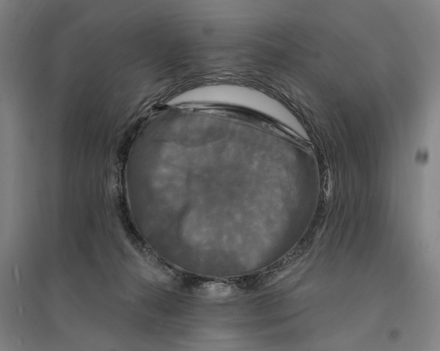 X0000095110272200712301744