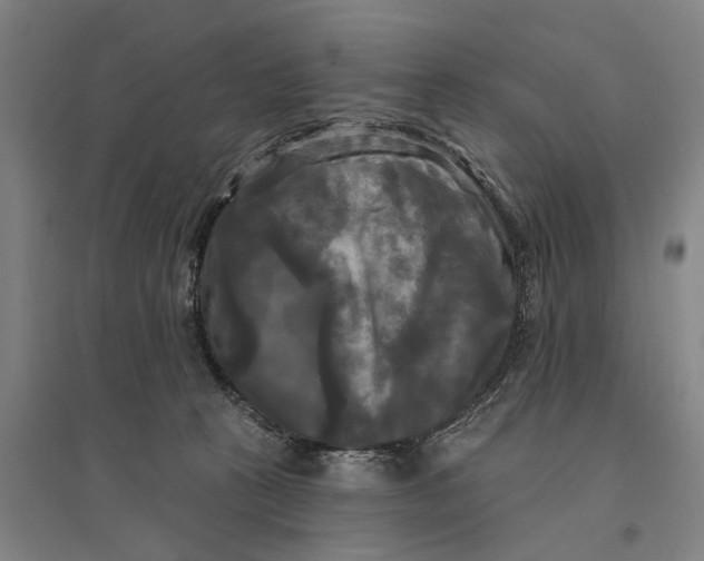 X0000095110273200712301744