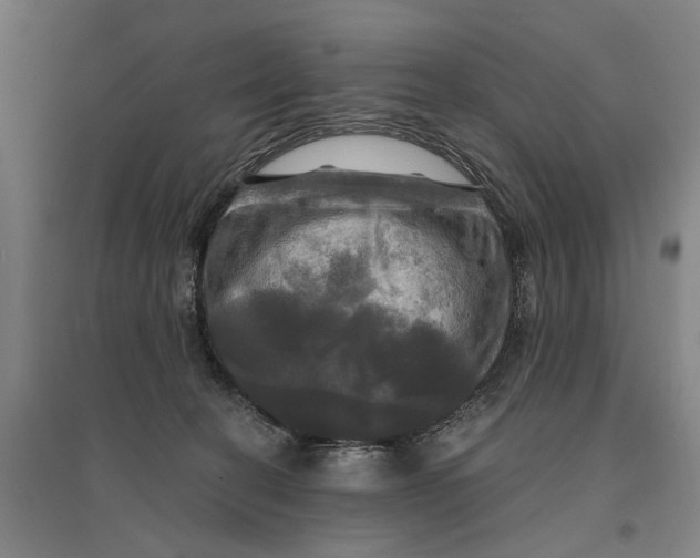 X0000095110274200712301744