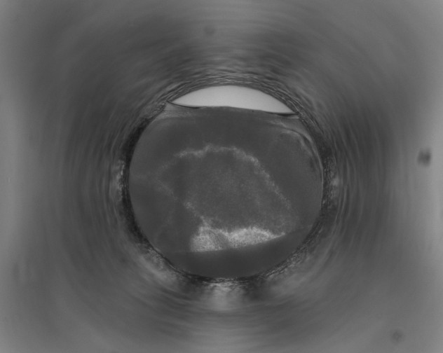 X0000095110275200712301744