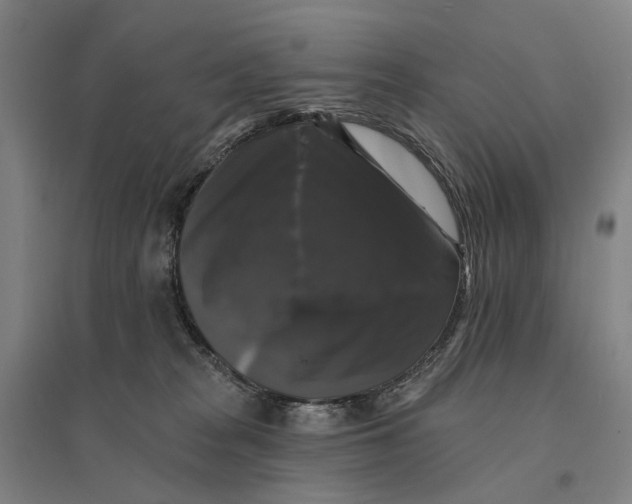 X0000095110277200712301744