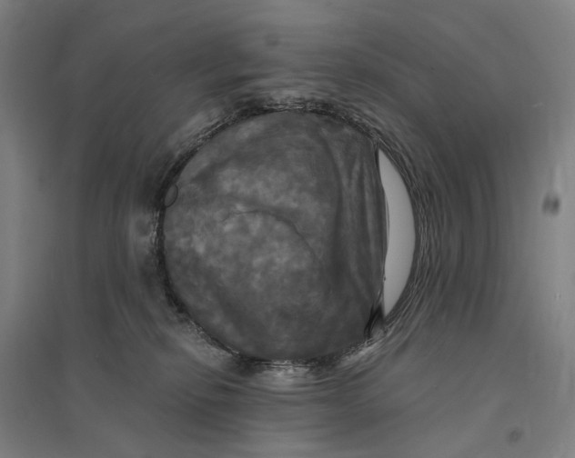 X0000095110278200712301744