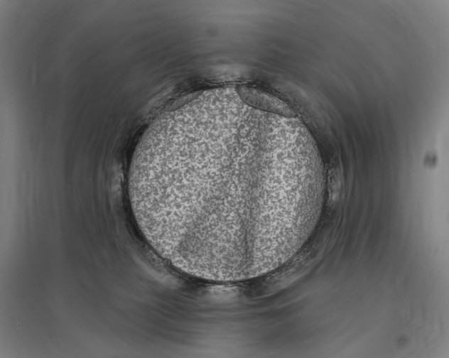 X0000095110279200712301744