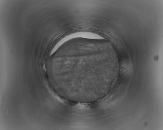 X0000095110280200712301744