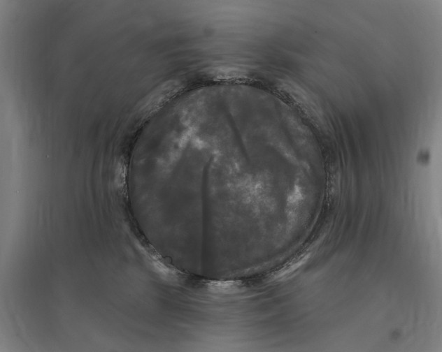 X0000095110281200712301744