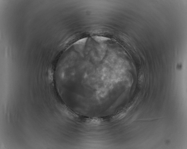 X0000095110282200712301744