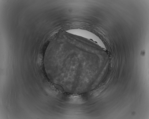 X0000095110283200712301744