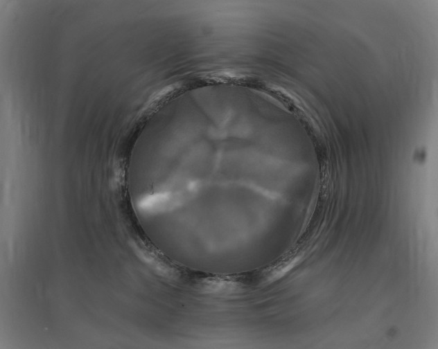 X0000095110284200712301744