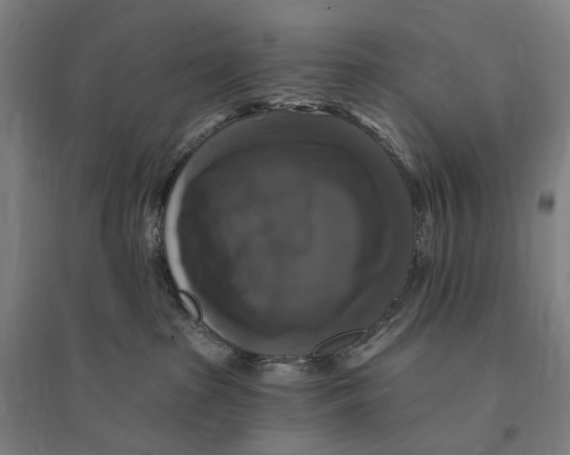 X0000095110285200712301744