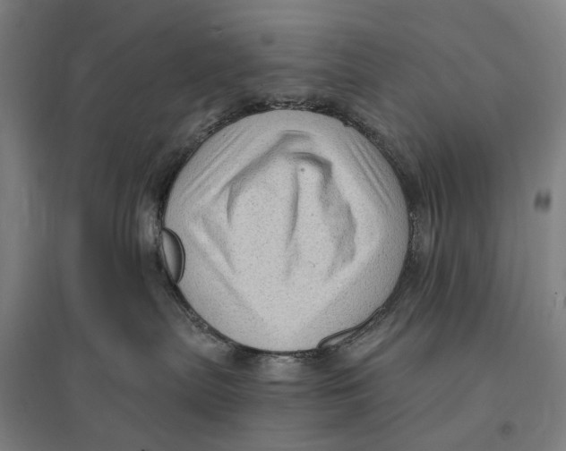 X0000095110287200712301744