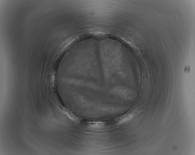 X0000095110288200712301744