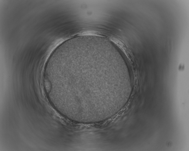 X0000095110289200712301743