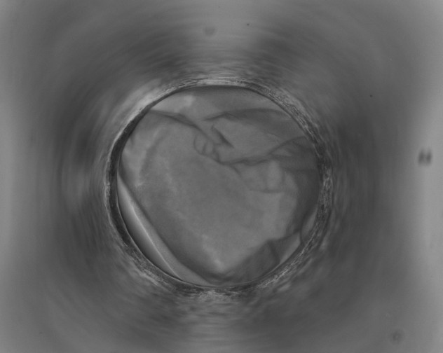 X0000095110290200712301743