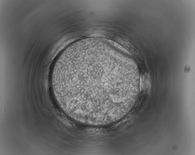 X0000095110291200712301743