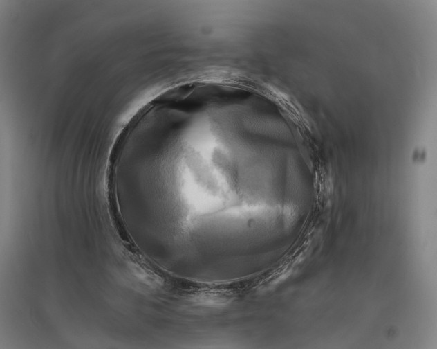 X0000095110292200712301743