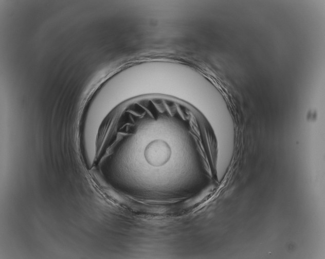 X0000095110293200712301743