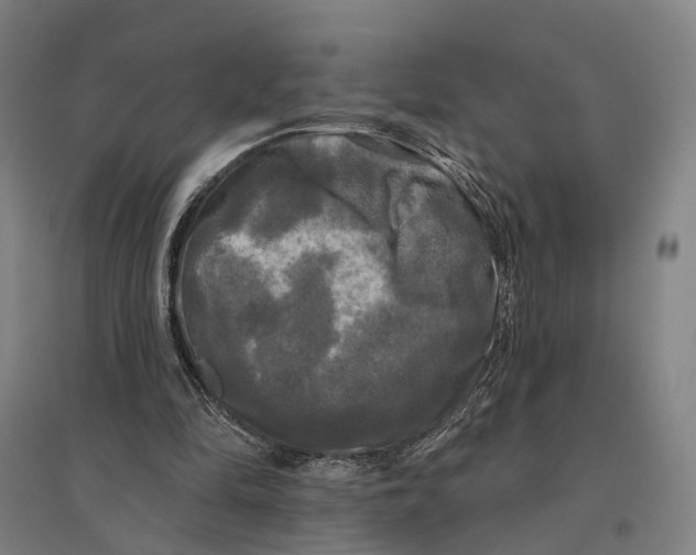 X0000095110294200712301743