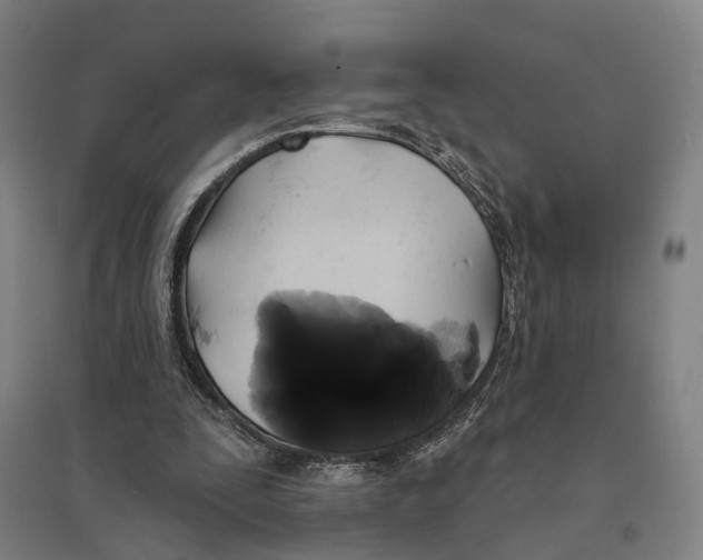 X0000095110295200712301743