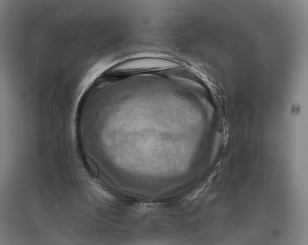 X0000095110296200712301743