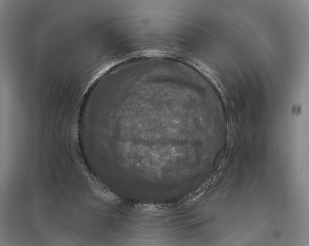 X0000095110297200712301743