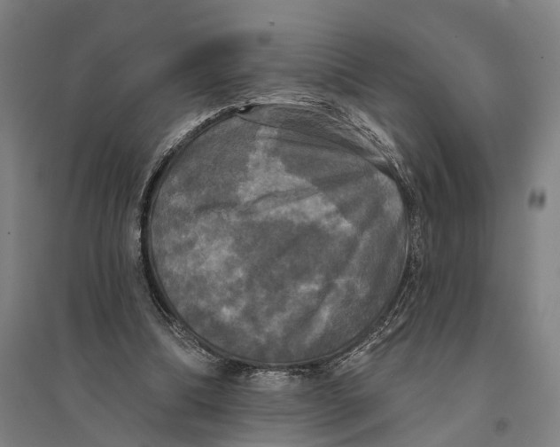 X0000095110298200712301743