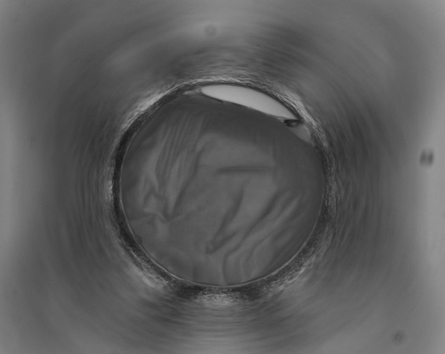 X0000095110299200712301743