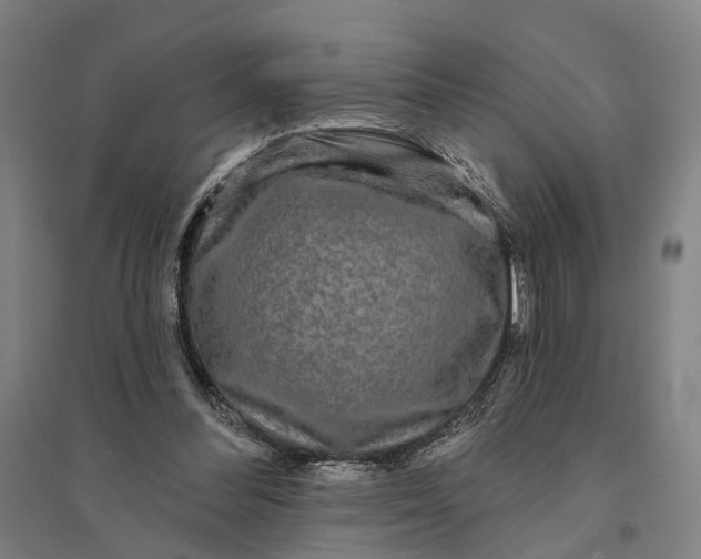 X0000095110300200712301743