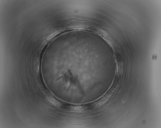 X0000095110301200712301743