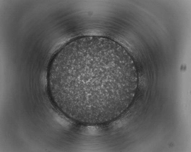 X0000095110302200712301743