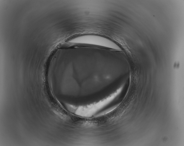 X0000095110303200712301743