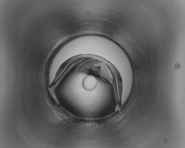 X0000095110304200712301743