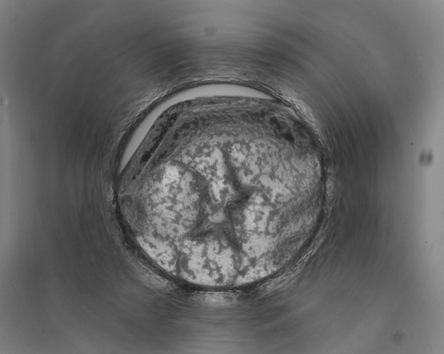 X0000095110305200712301743