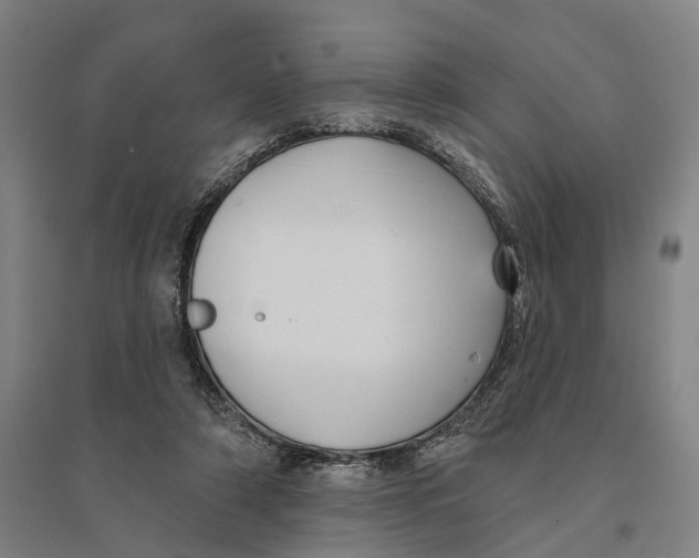 X0000095110306200712301743