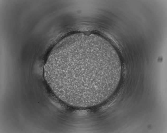 X0000095110307200712301743