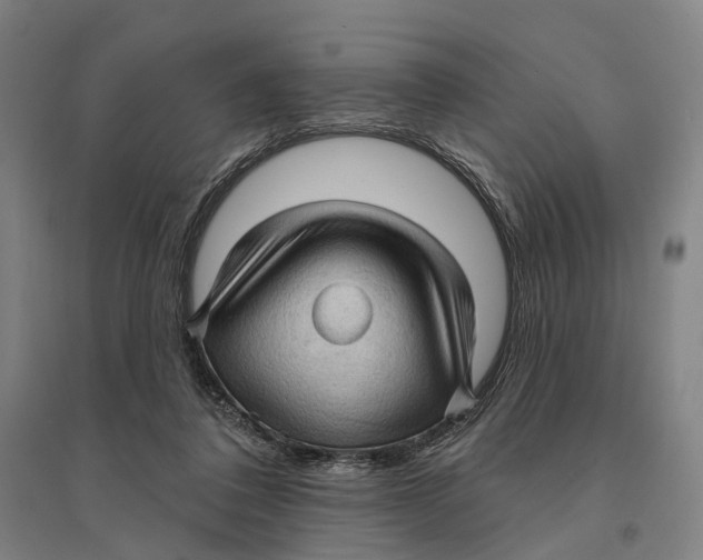 X0000095110308200712301743