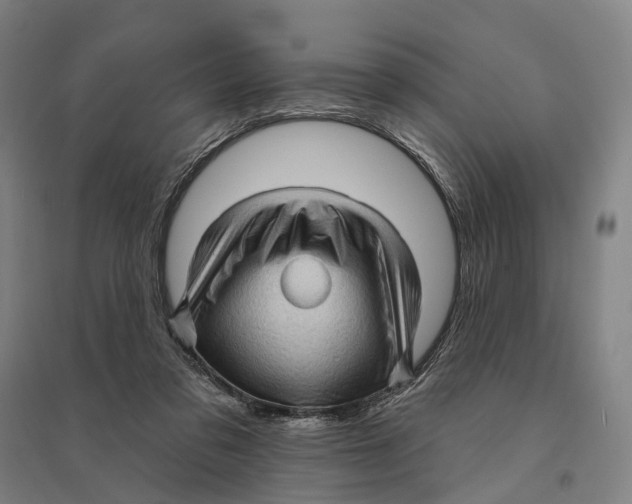 X0000095110309200712301743