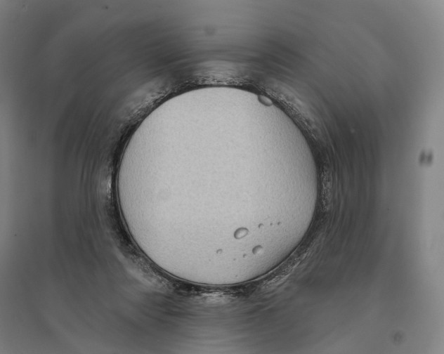 X0000095110310200712301743