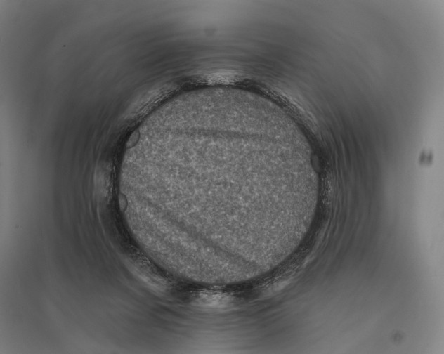 X0000095110311200712301743