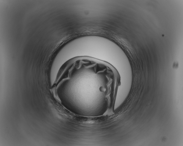 X0000095110312200712301743