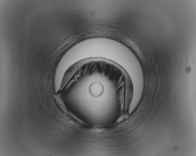 X0000095110313200712301743