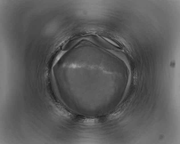 X0000095110314200712301743