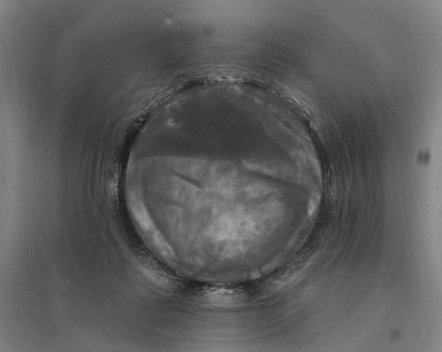 X0000095110315200712301743