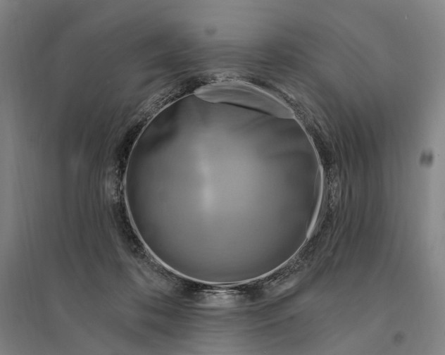 X0000095110316200712301743