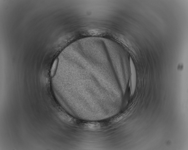 X0000095110317200712301743