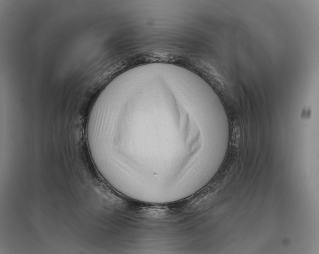 X0000095110318200712301743