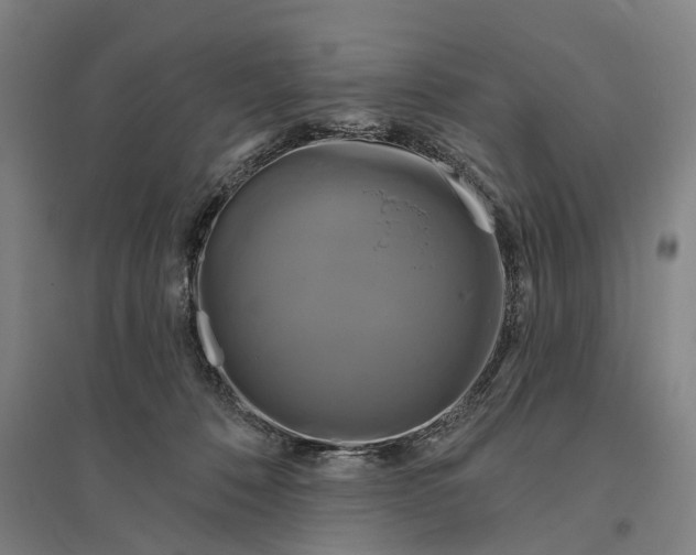 X0000095110320200712301743