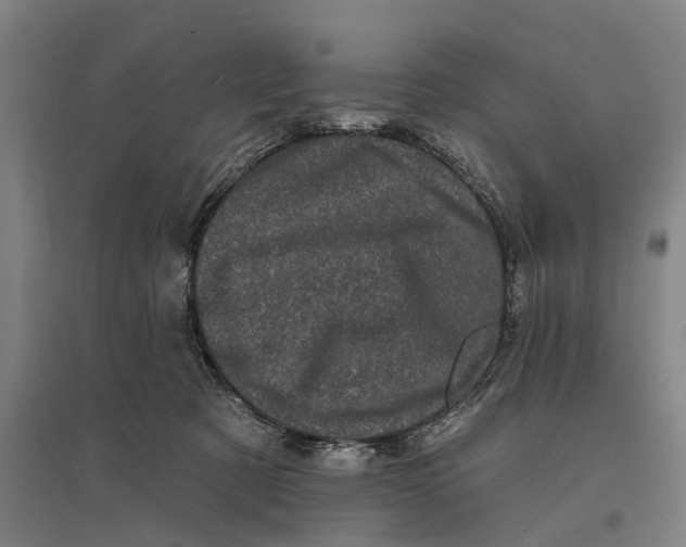 X0000095110321200712301743