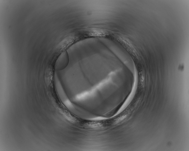 X0000095110322200712301743