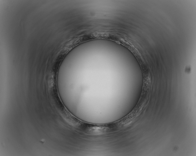 X0000095110323200712301743