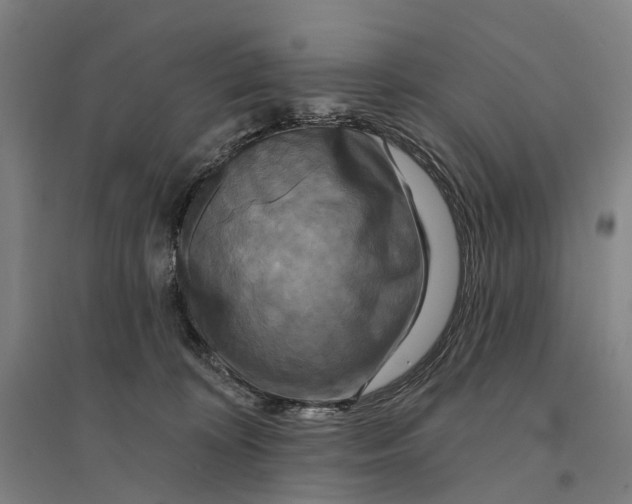 X0000095110324200712301743